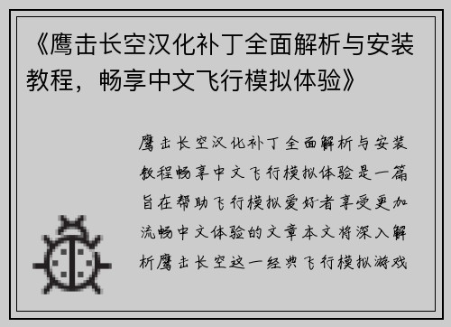《鹰击长空汉化补丁全面解析与安装教程，畅享中文飞行模拟体验》